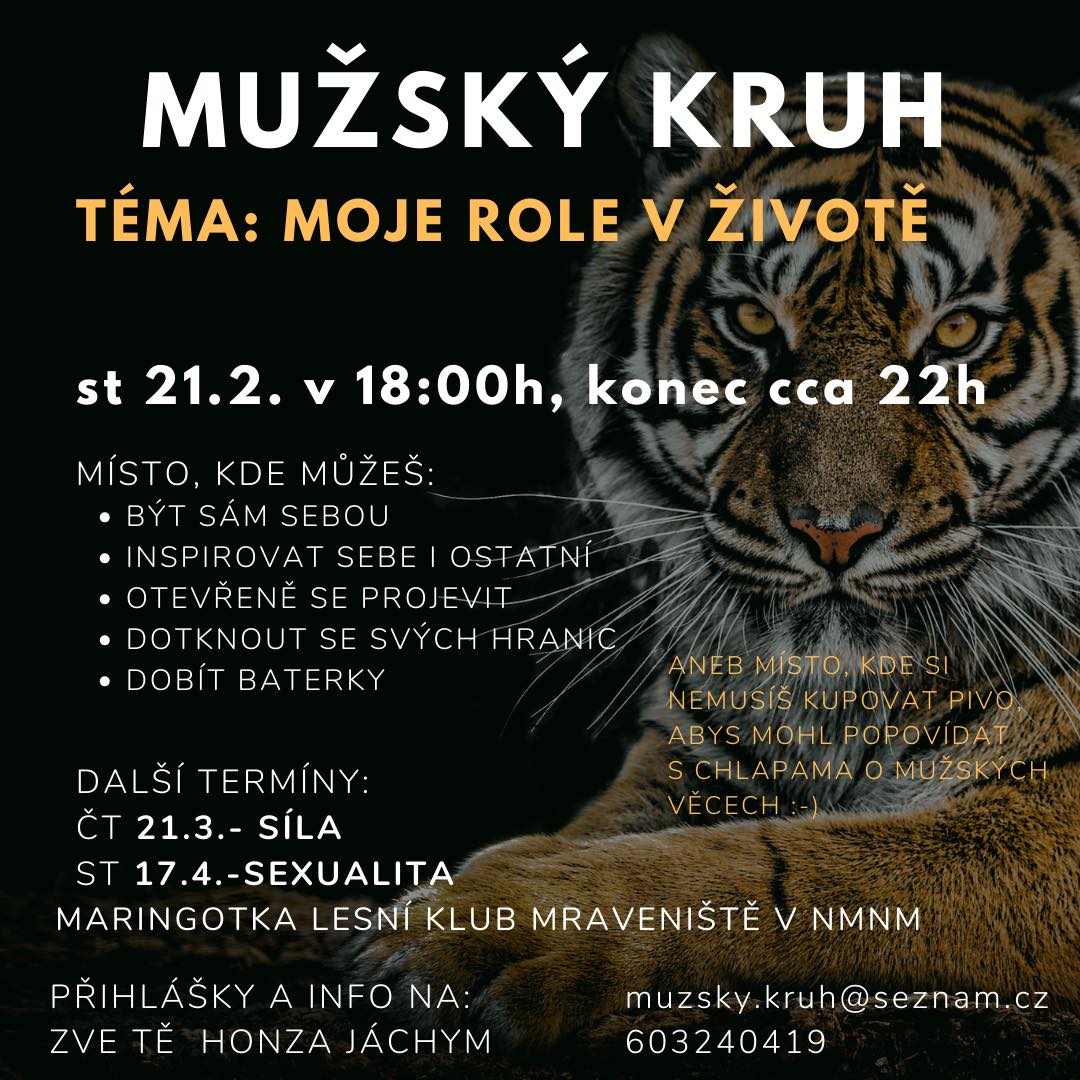 Featured image for “Mužské kruhy”